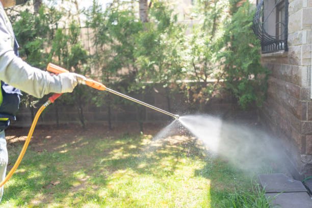 Best Seasonal Pest Control (e.g., summer mosquitoes, winter rodents)  in Margate City, NJ